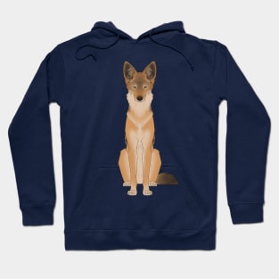 Black-Backed Jackal Hoodie